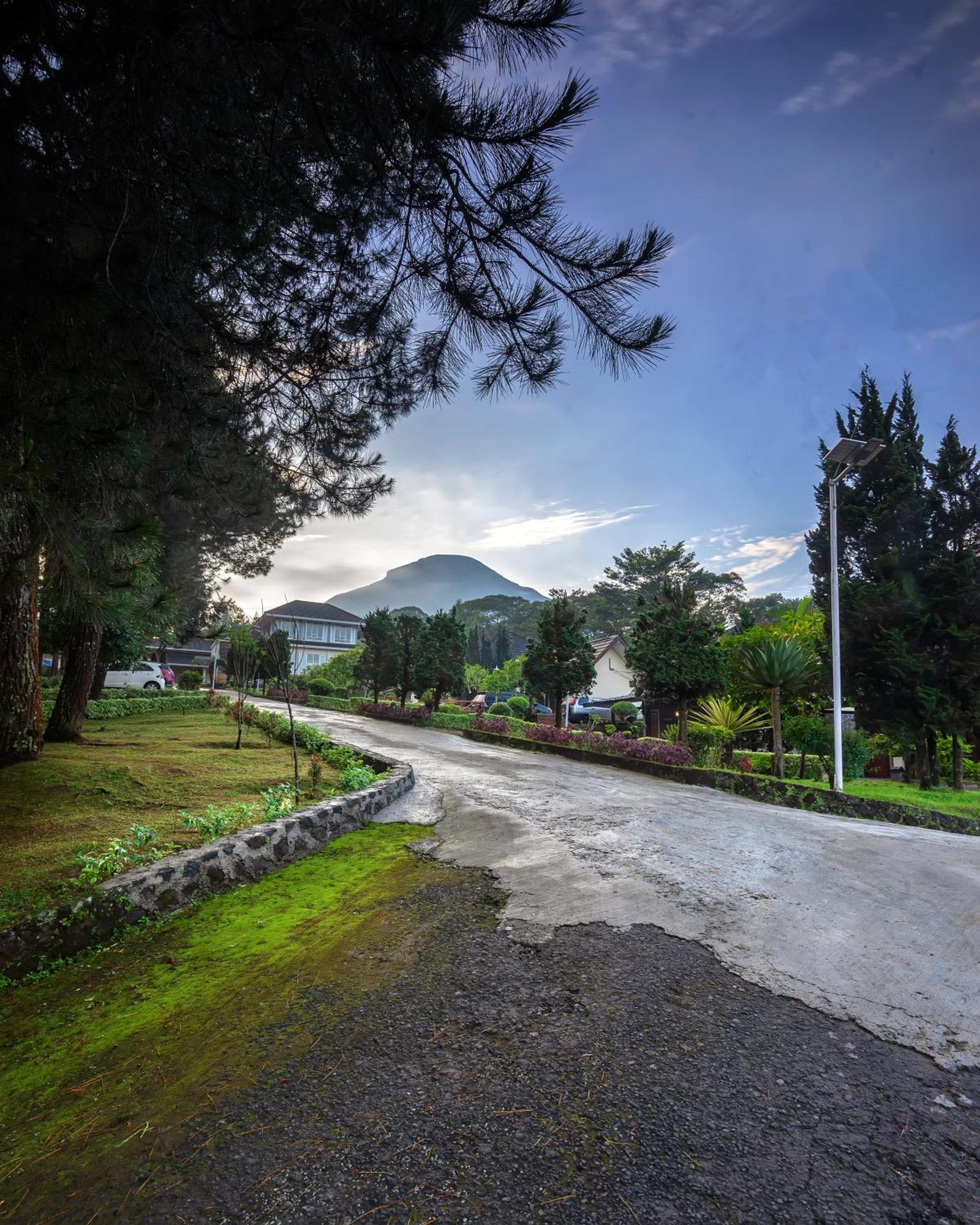 Tambi Tea Resort Kejajar Extérieur photo